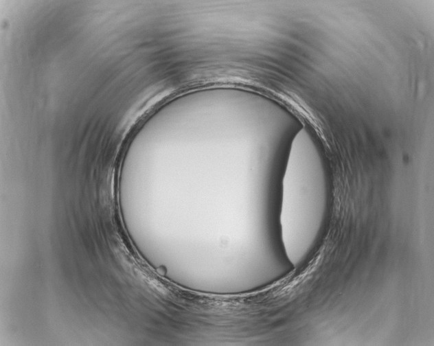 X0000086890790200704161004