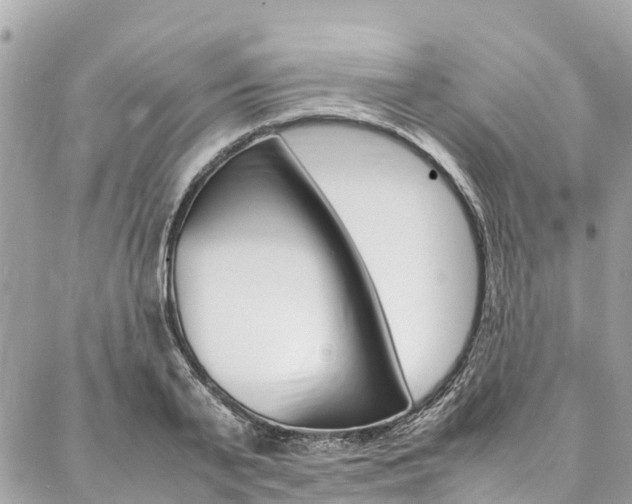 X0000086890791200704161004