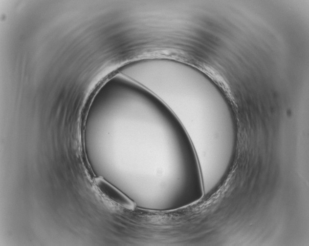 X0000086890792200704161004