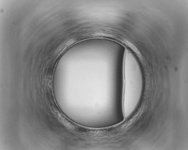 X0000086890793200704161004