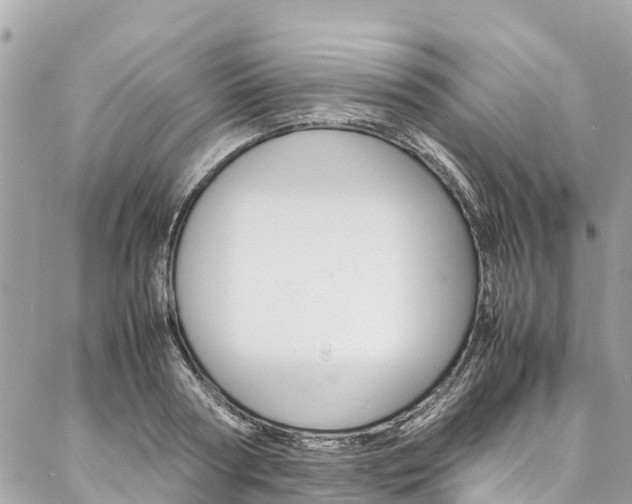 X0000086890794200704161004