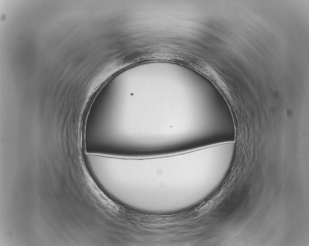 X0000086890795200704161004