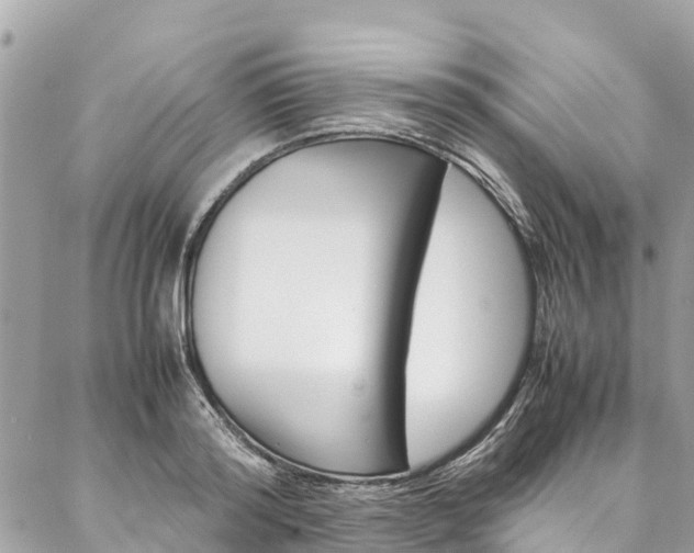 X0000086890796200704161004