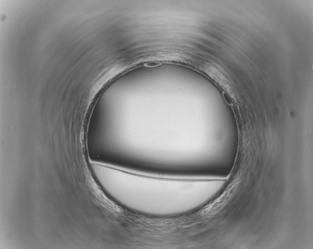 X0000086890797200704161004