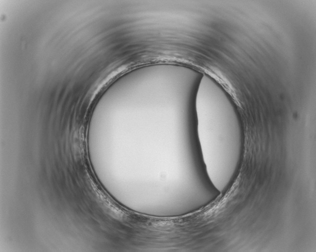 X0000086890798200704161004