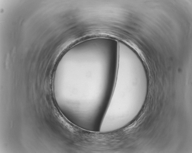 X0000086890799200704161004