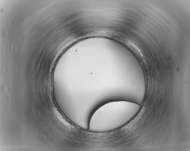 X0000086890800200704161004