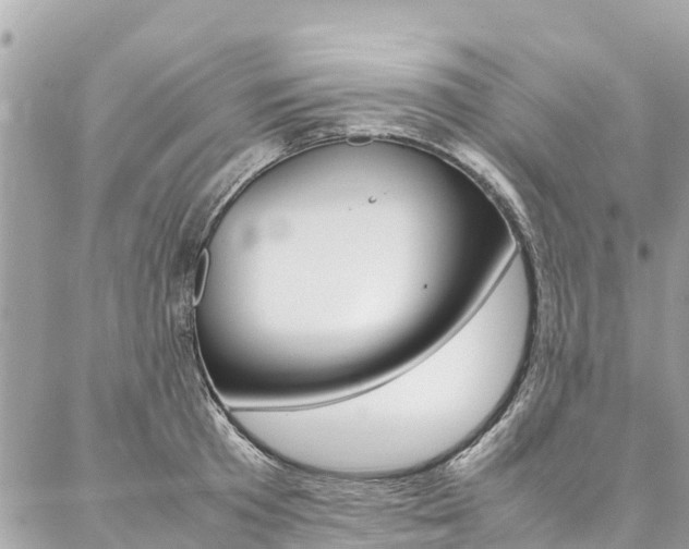 X0000086890801200704161004