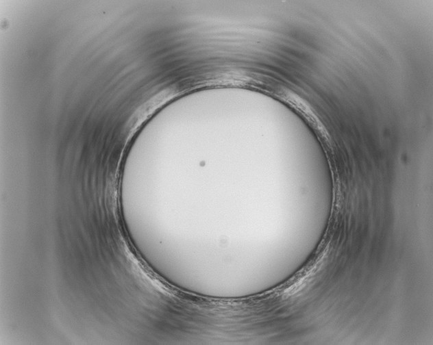 X0000086890802200704161004