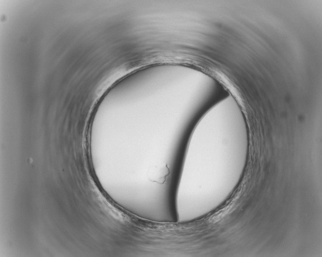 X0000086890803200704161004