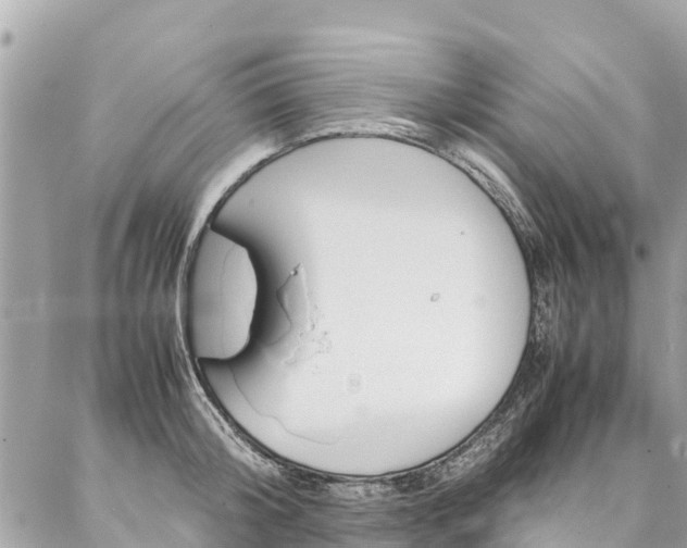 X0000086890804200704161004