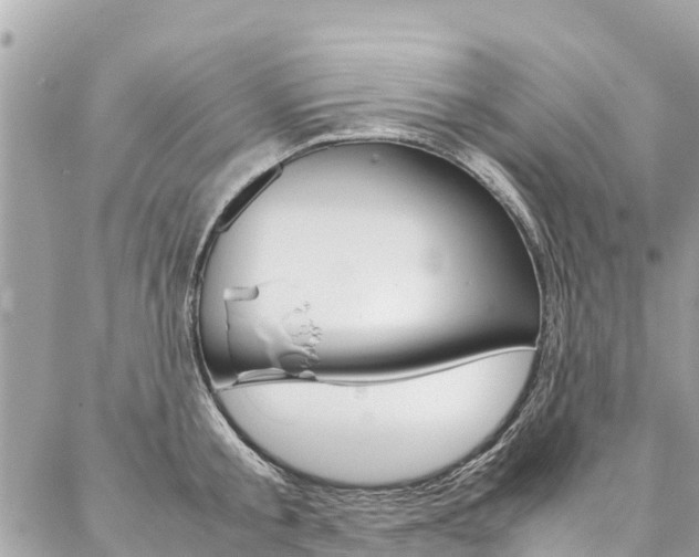 X0000086890805200704161004