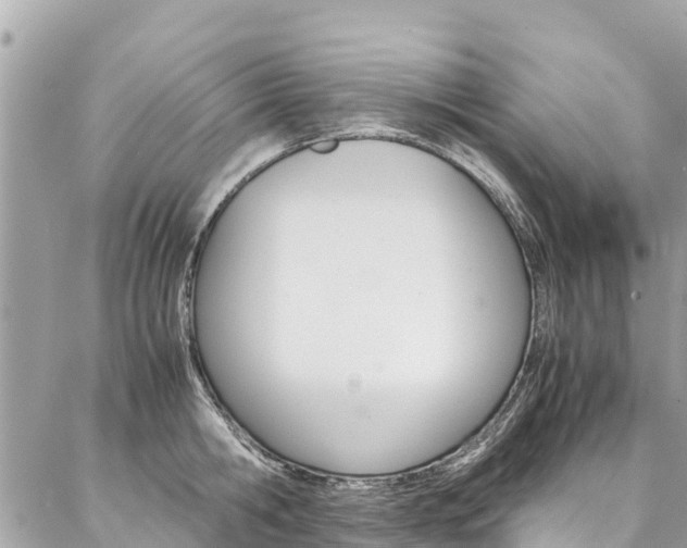 X0000086890806200704161004