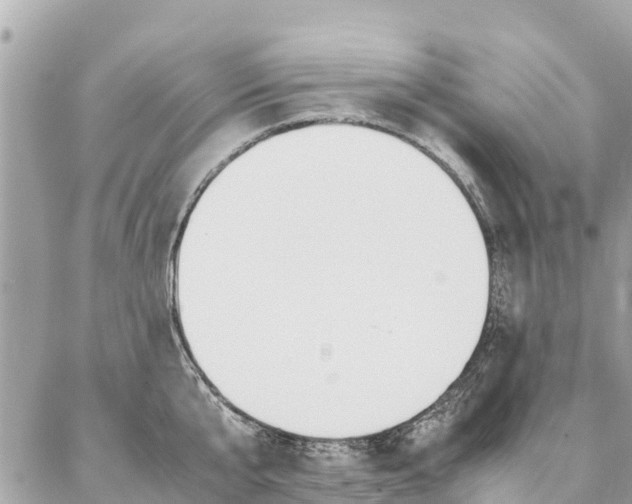 X0000086890807200704161004