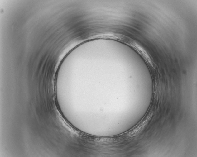 X0000086890808200704161004