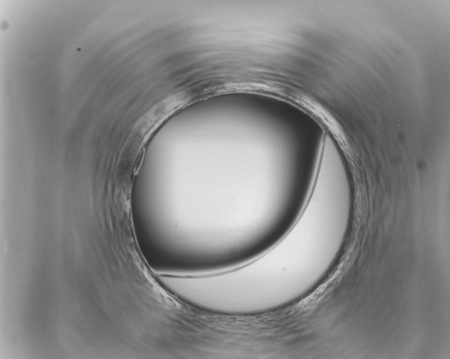 X0000086890809200704161004