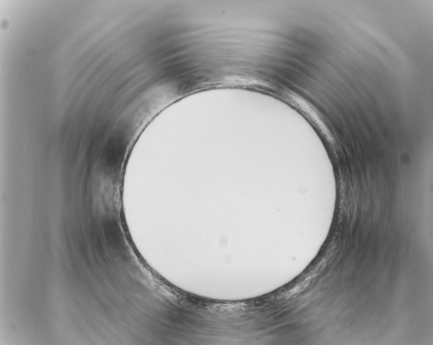 X0000086890810200704161004