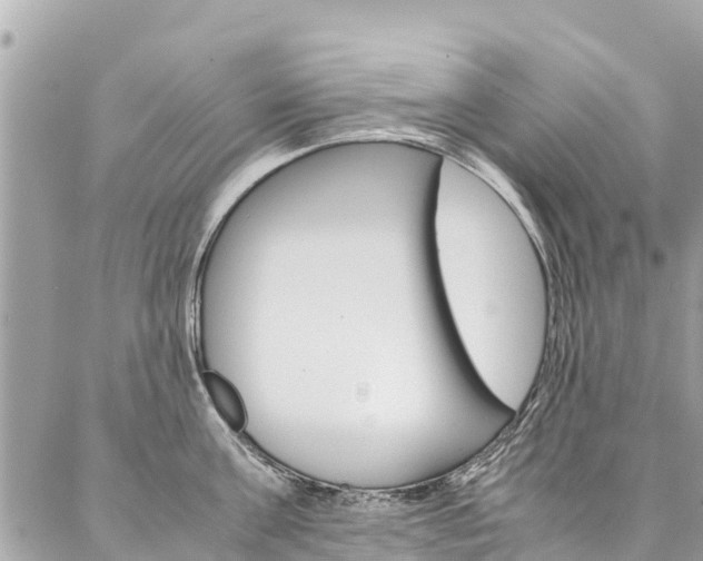 X0000086890811200704161004