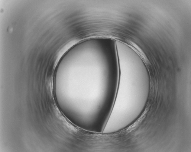 X0000086890812200704161004