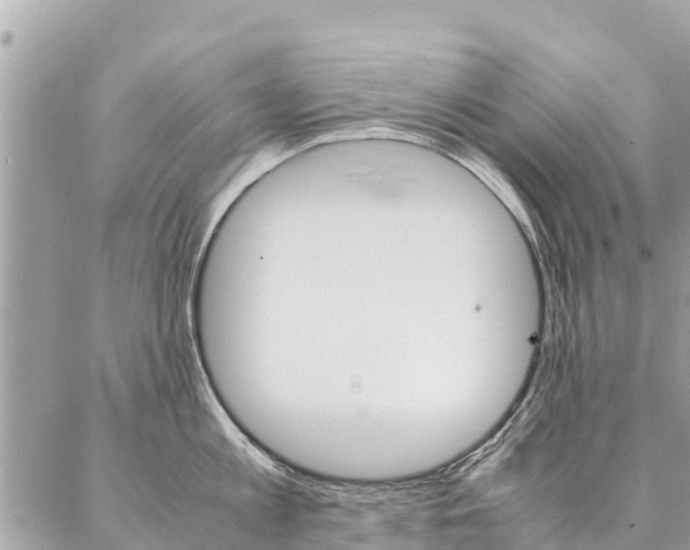 X0000086890813200704161004