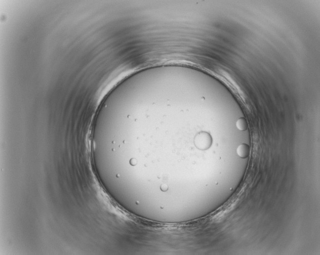 X0000086890814200704161004