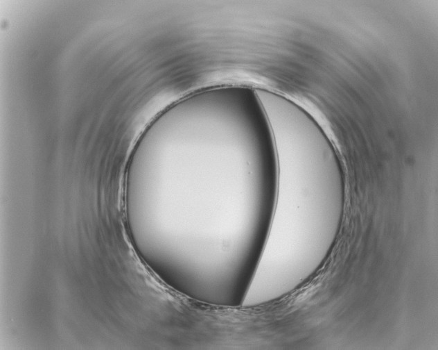 X0000086890815200704161004