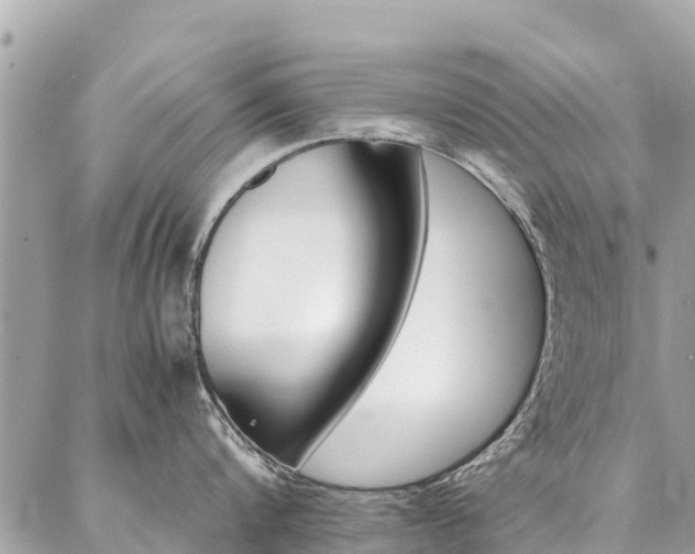 X0000086890816200704161004