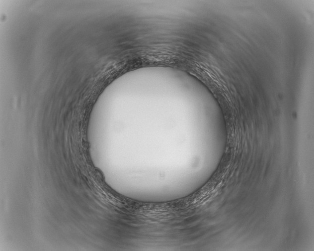 X0000086890817200704161003