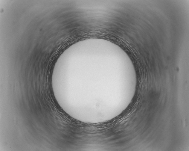 X0000086890818200704161003