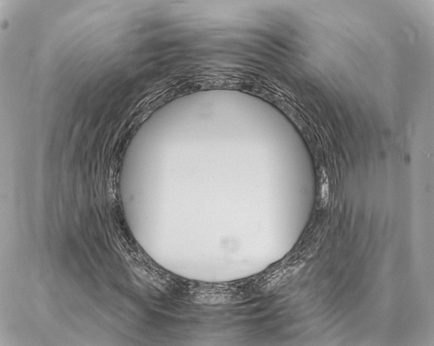 X0000086890819200704161003