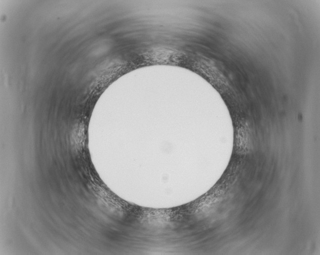 X0000086890820200704161003