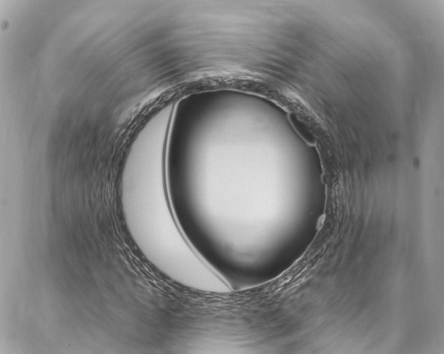 X0000086890822200704161003