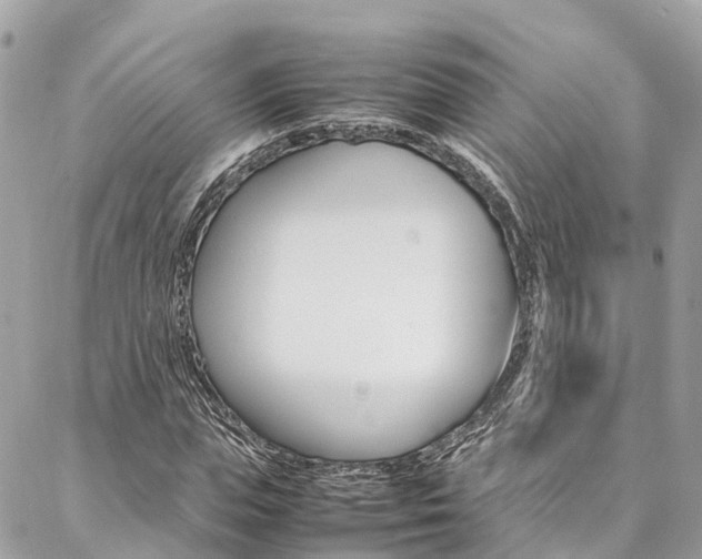 X0000086890823200704161003