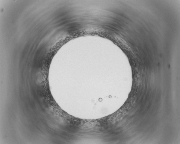 X0000086890824200704161003