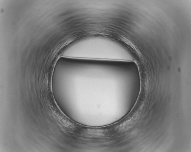 X0000086890825200704161003