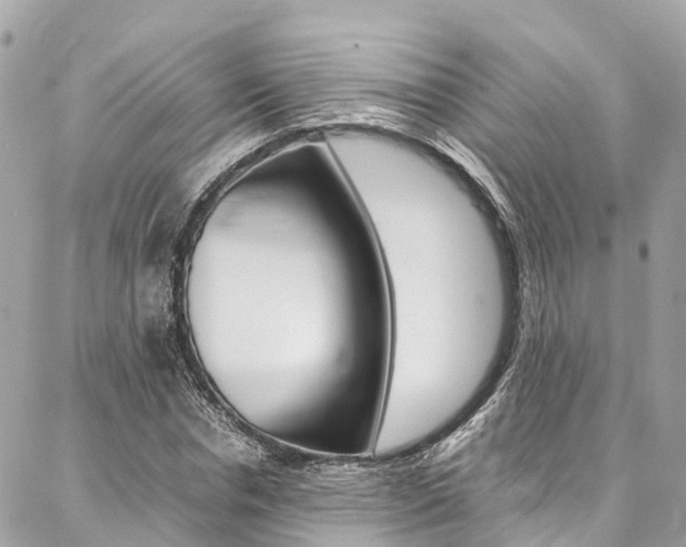 X0000086890826200704161003