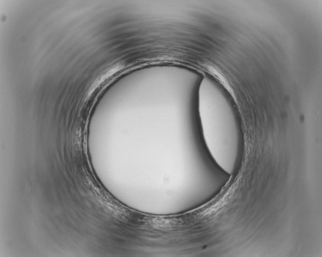 X0000086890827200704161003