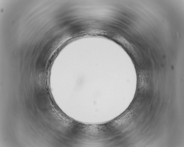 X0000086890828200704161003