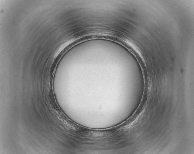 X0000086890829200704161003