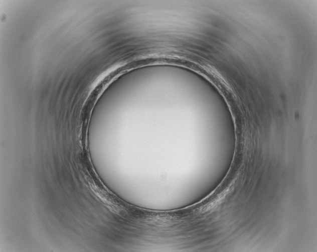 X0000086890830200704161003