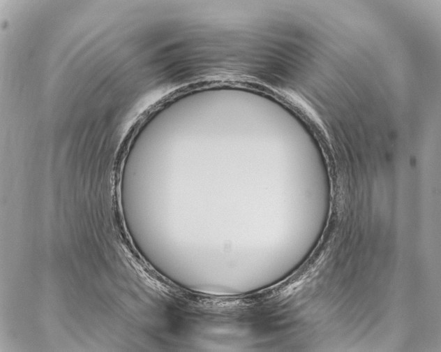 X0000086890831200704161003