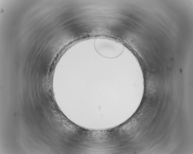 X0000086890832200704161003