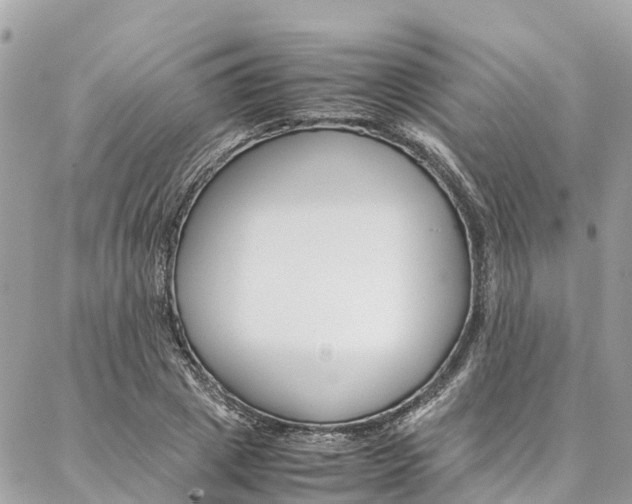 X0000086890833200704161003