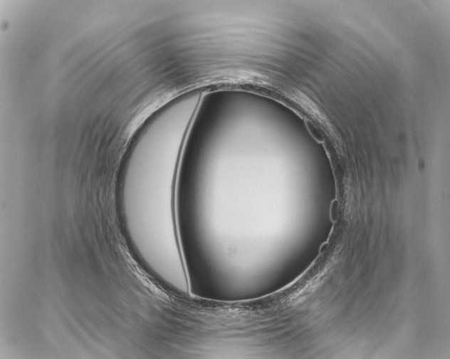 X0000086890834200704161003