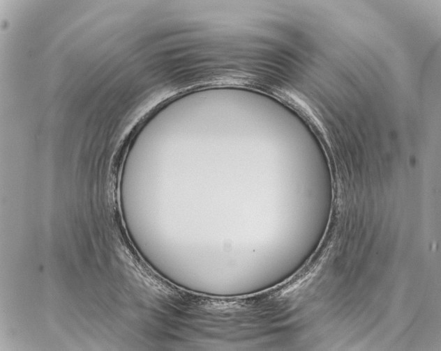 X0000086890835200704161003