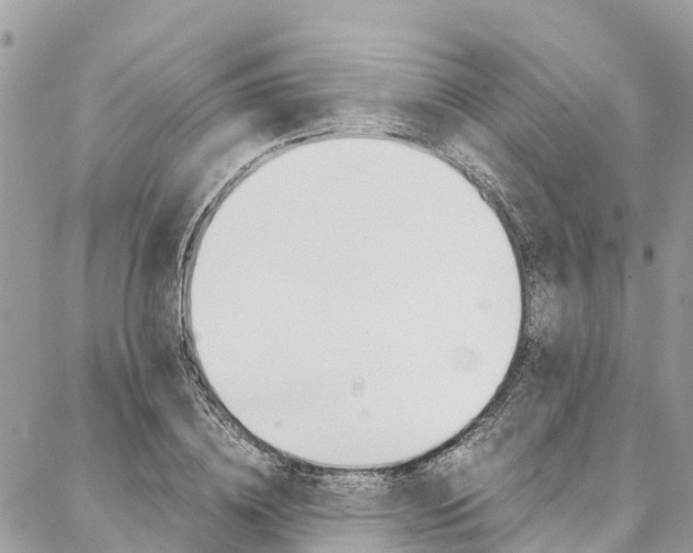 X0000086890836200704161003