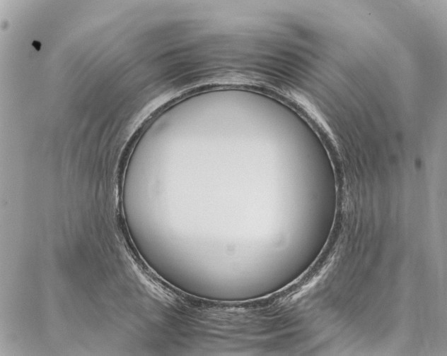 X0000086890837200704161003