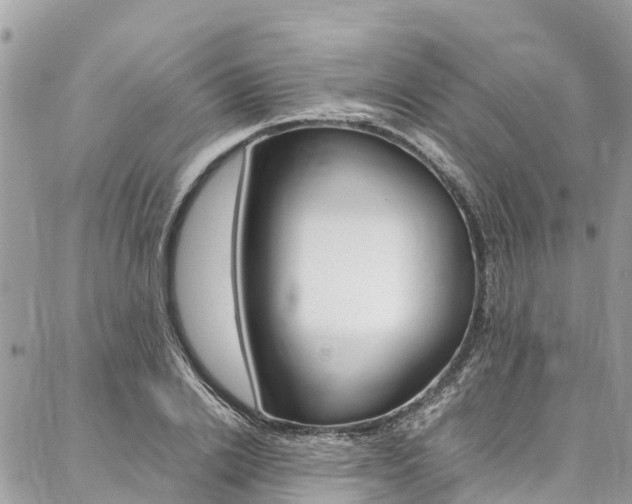 X0000086890838200704161003