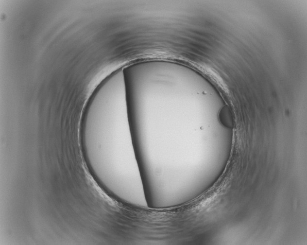 X0000086890839200704161003