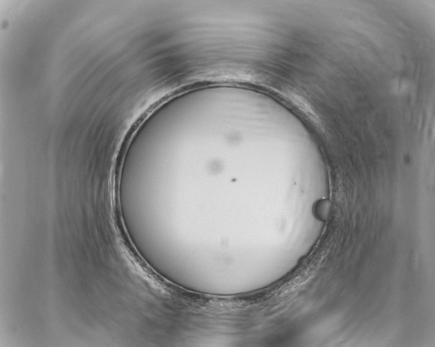 X0000086890840200704161003